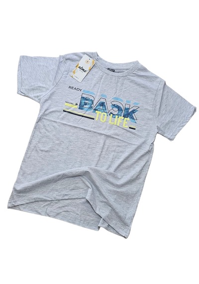 Almi Erkek Çocuk T-shirt Gri