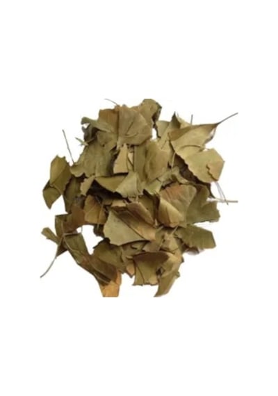 Sakızağacıaktar Ginkgo Biloba 250 Gr