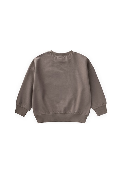 Cigit İnce Mevsimlik Sweatshirt 1-7 Yaş Vizon