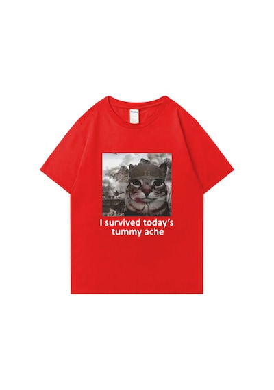 Flood Of Style Komik Kedi Bugünden Karın Ağrısını Hayatta Kaldım T Shirt Yeni Erkek Pamuklu Tişört Kısa Koll Kırmızı