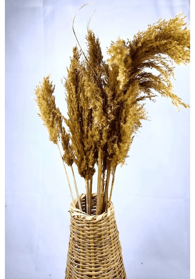 Şoklanmış Renkli Pampas Demeti 10'lu Set Sarı