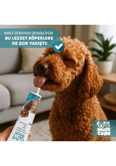 Kedi Köpek Derma Malt Biyotinli Kedi Maltı Kedi Malt Macun Kedi Tüy Malt Paste Kedi Macunu