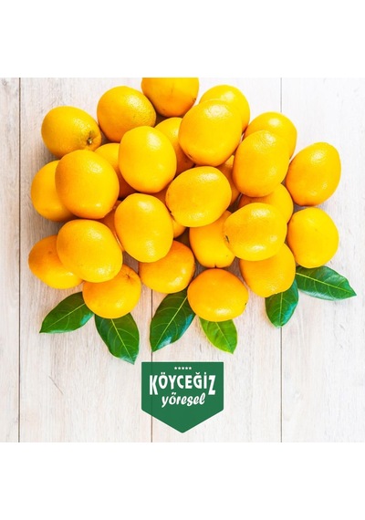 Kb Köyceğiz Yöresel Köyceğiz Portakalı 8 KG