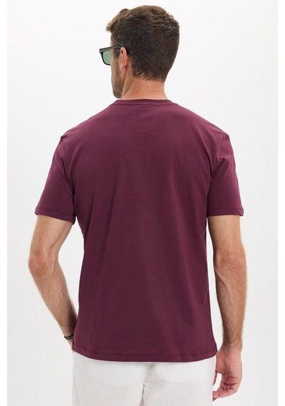 Tudors Erkek Loose Fit Rahat Kesim %100 Pamuk Yumuşak Dokulu Kısa Kollu Bordo Bisiklet Yaka Tişört-52807 Tudors Erkek Loose Fit Rahat Kesim %100 Pamuk Yumuşak Dokulu Kısa Kollu Bordo Bisiklet Yaka Tişört-52807