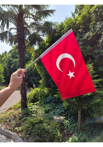 Vatan Sopalı Bayrak Bez 20x30 Bayrak 10'lu Diğer
