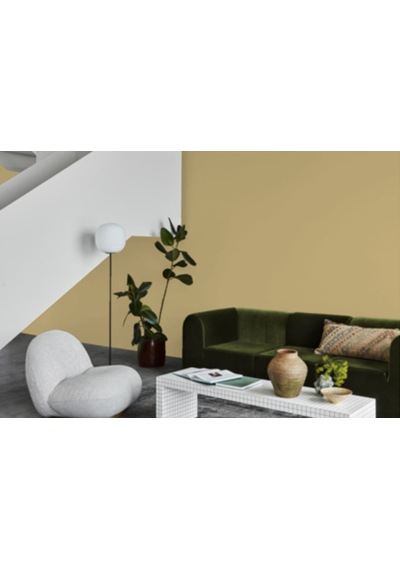 Jotun Bamboo 0274 Fenomastic Güzel Evim Serisi Zengin Mat