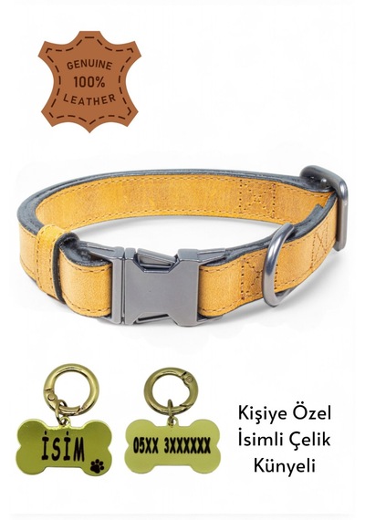 Hakiki Deri Köpek Boyun Tasması, Kişiye Özel Künyeli Lux Seri Sr Sarı