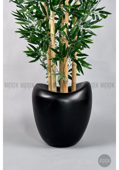 Zen Bambu Ağacı 240 Cm Mocha Bone Saksıda