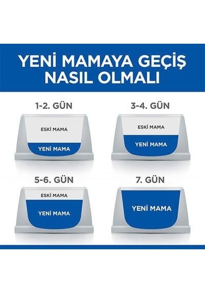 Hill's Science Plan Tavuklu Yavru Kedi Maması 3 Kg