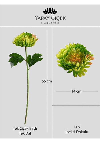 Yeşil Yapay Kasımpatı Çiçeği Tek Dal Lüx İpeksi Dokulu 55 Cm