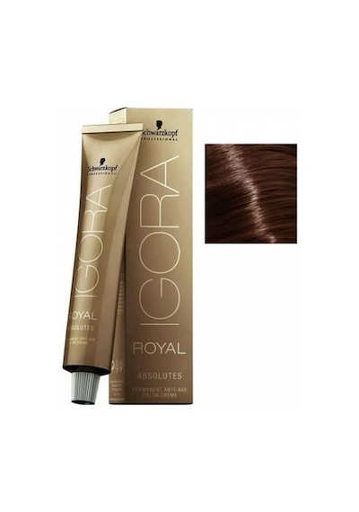 Igora Royal Absolutes Saç Boyası 6 - 60 Koyu Kumral Çikolata Doğal