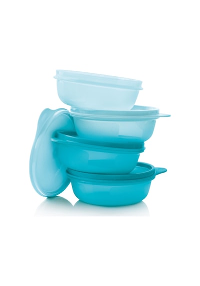 Tupperware Saklama ve Servis Kabı 4'lü Set 300 ML