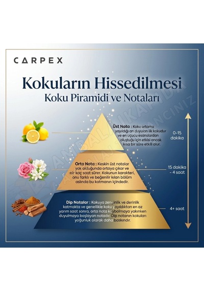 Carpex 125 Ml. Linden Blossom Classic Aroma E2 Power Günlük