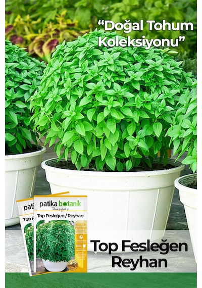 Patika Botanik 100 Adet Top Fesleğen - Top Reyhan Ocimum Basilicum Çiçek Tohumu