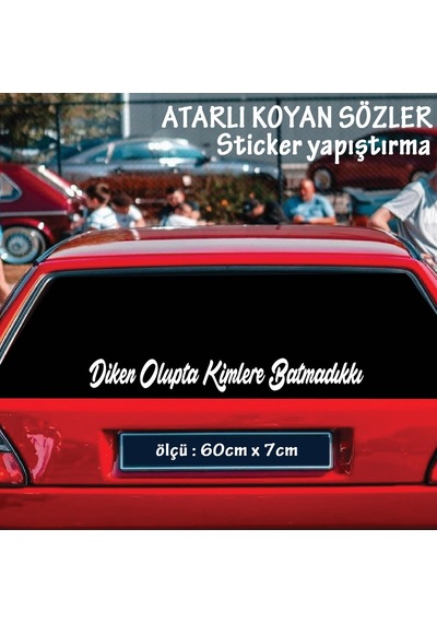 Diken Olupta Kimlere Batmadıkki - Cam Yazıları Sticker Tiktok Whatsapp Sözleri