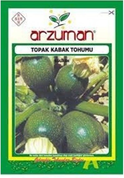 1 Paket Tohum Organik Hasat Topak Yeşil Kabak Tohumu Dolmalık 10g