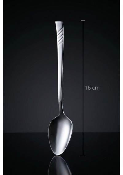 Karat Steel 6 Parça Tatlı Kaşığı Takımı - 16 Cm Silver