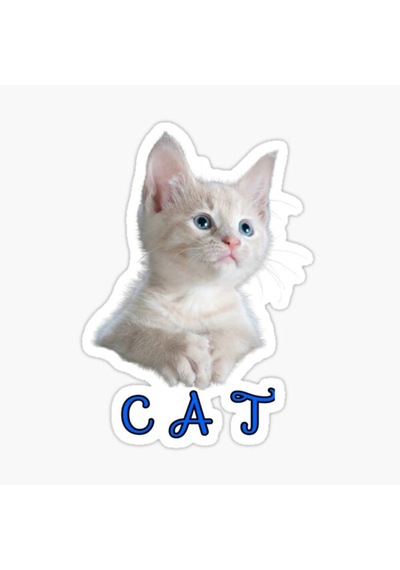 Ufak Bebek Kedi Araba Oto Sticker Etiket Renkli E8