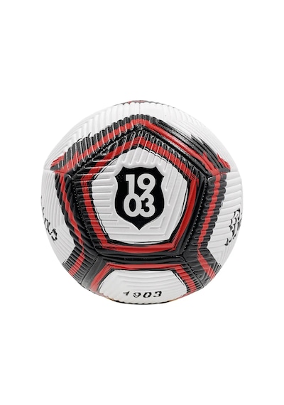 Beşiktaş Futbol Topu Lines Siyah-beyaz
