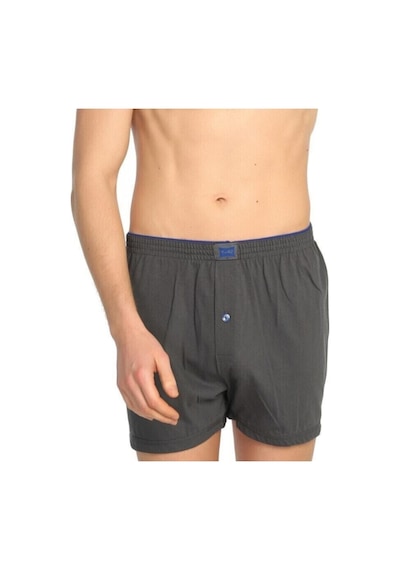 Erkek Penye Düğmeli Füme Boxer 1'li Paket Füme