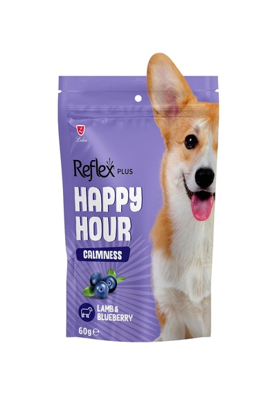 Ayrex Hour Ayrex Hour