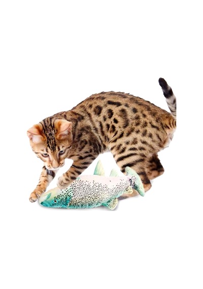 Afp Titreşimli Alabalık Catnip Ve Gümüş Asmalı Kedi Oyuncağı 28 Cm