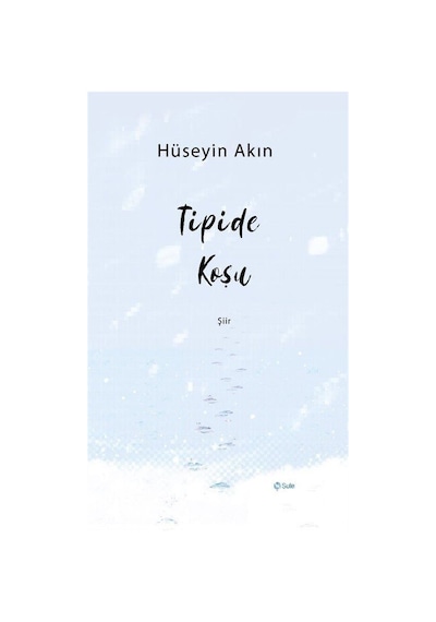 Tipide Koşu - Hüseyin Akın - Şule Yayınları