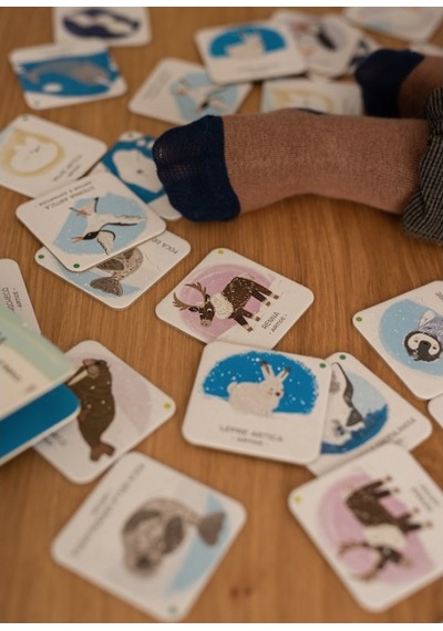 Sassi Animals To Save Polar Ice