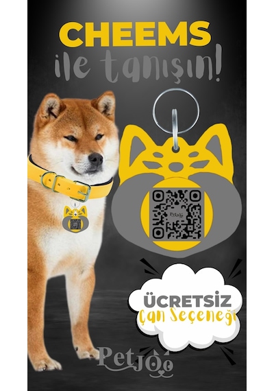 Petjoo 18.Cheems Gri-Sarı Qr'lı Köpek Künyesi