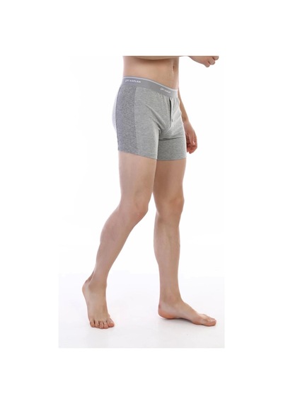 Çift Kaplan 880 Elastanlı Erkek Boxer Gri