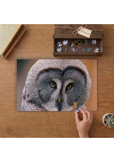 Yakın Çekim Peçeli Baykuş Tasarımı 240 Parça Ahşap Puzzle Ahşap Kutuda Mpy50303