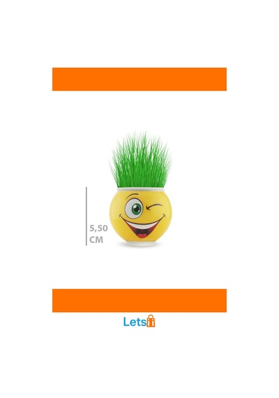 Eğlenceli Emoji Figürlü Çim Adam Saksı 5,5 Cm 1 Adet