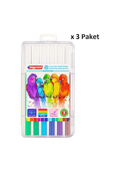 Bigpoint Fırça Uçlu Keçeli Kalem 12'li Set Plastik Kutulu X 3 Paket