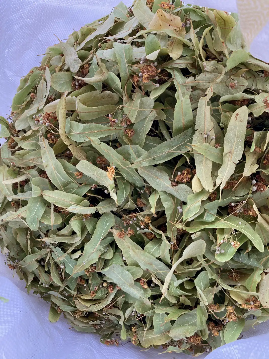 20 Gr Ihlamur Doğal Kurutulmuş Katkısız Bitki Çayı