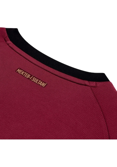 Puma Galatasaray 25/26 Erkek Uzun Kollu Alternatif Forması 788432 03 Kırmızı