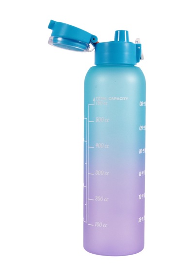 Herevin 161407-843 Askılı Desenli Opak Desenli Matara 750 Ml Mor