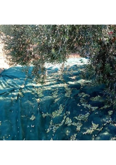 Titanium Zeytin Toplama Filesi 75'lik 6 8 Metre Gölgelik File - Yeşil - Sergenlik - Zeytin Sergisi - Zeytin Yaygısı