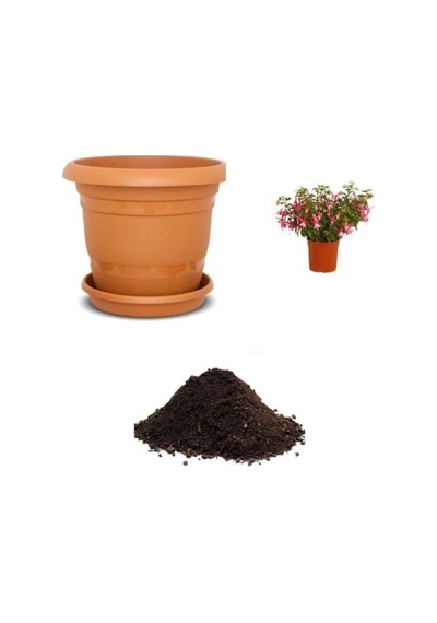 Pembe Küpeli Çiçeği Tohumu Ekim Seti