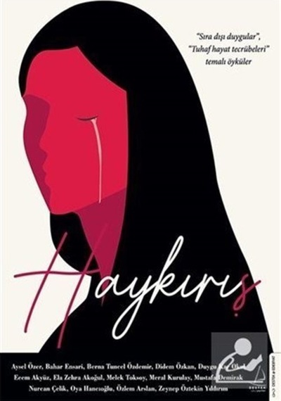 Haykırış - Sıra Dışı Duygular Tuhaf Hayat Tecrübeleri Temalı Öyküler- Destek Yayınları