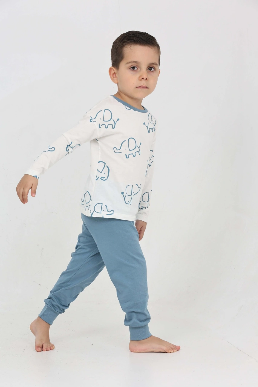 Toontoy Kids Toontoy Erkek Çocuk Fil Pano Baskılı Pijama Takım Mavi