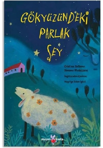 Gökyüzündeki  Parlak Şey - Cristina Bellemo - Okuyan Koala