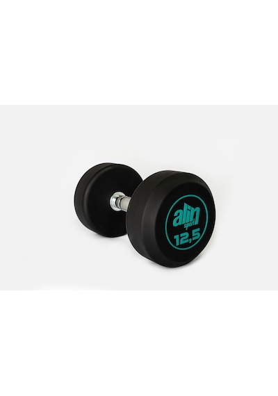 Alin Sport Profesyonel Dambıl 10 Kg