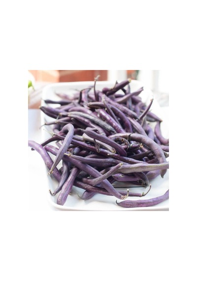 Purple Wax Sırık Geleneksel Fasulye Tohumu 10 Tohum