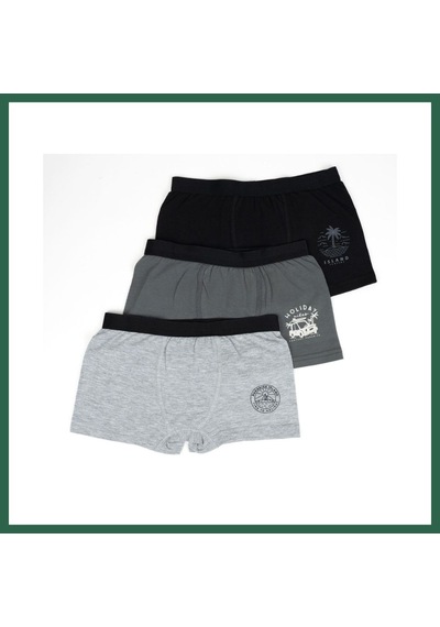 Bezos Erkek 2li Boxer Set K128997 Tek Adet Fiyatıdır Renk: Asorti Beden: 5-6 Yaş Bzs01 Çok Renkli