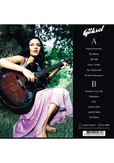 Göksel En İyileri Plak 2001 - 2007
