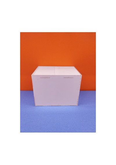 Pleksi Yavruluk Kapaklı 20x15x15h