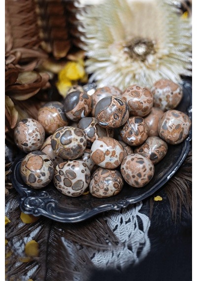 Riyolit Taşı Kütle Leopardite
