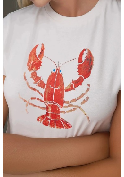 Hiccup Kadın Bisiklet Yaka Kısa Kollu Önü Baskılı Pamuklu T-shirt Çok Renkli