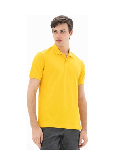 AR-MA Arma Erkek %95 Pamuk Polo Yaka Regular Fit T-shirt Y25374302501 Sarı-s2 Sarı