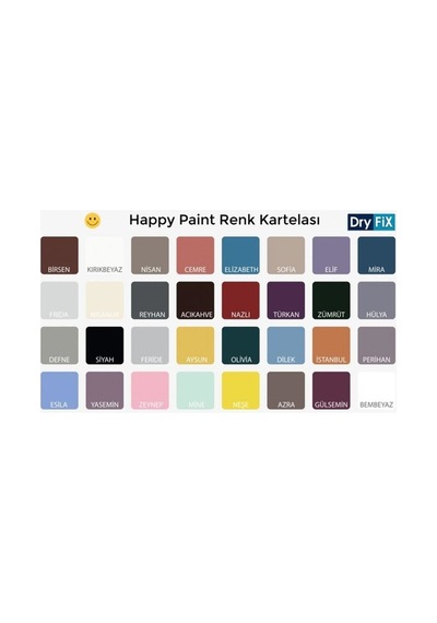 Dryfix Happy Paint Aysun 350 Ml